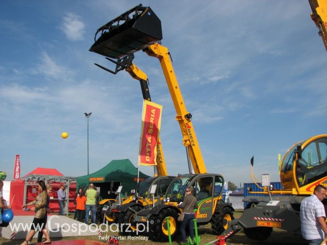 Zdj. - 642 - DITTA SERIA Edmund Pietrzak