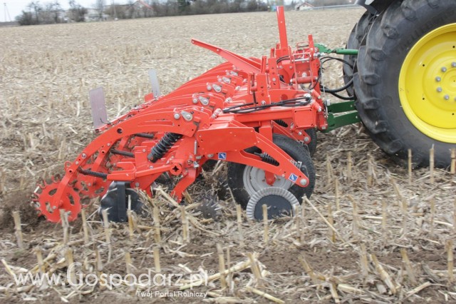 Kultywator STRIGER do uprawy pasowej - 17