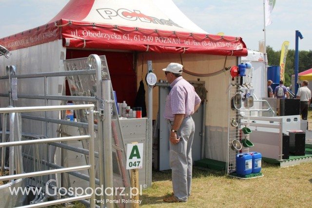 Polnet - Opolagra 2012 - 3