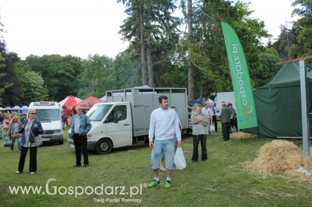 XX Targi Rolnicze Lubniewice 