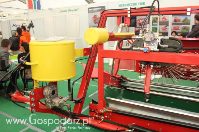 SFAMASZ Jan Dziedzic - 11