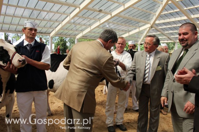 VII Ogólnopolska Wystawa Bydła Hodowlanego - 31