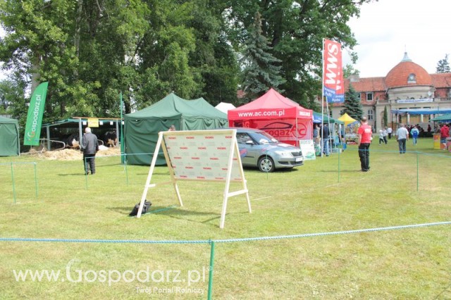 XX Targi Rolnicze Lubniewice