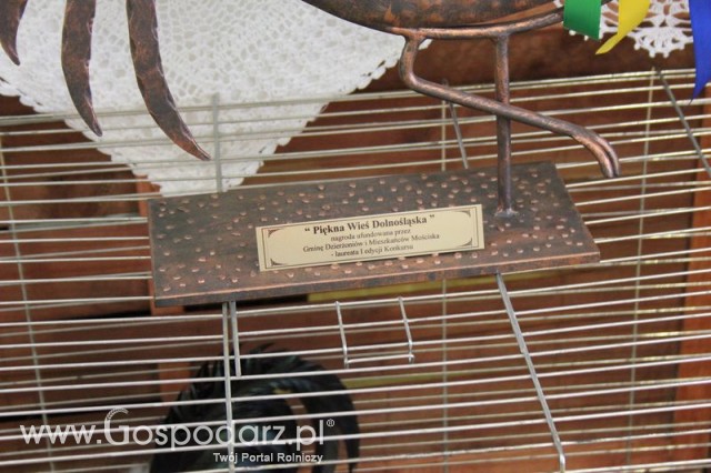 Fotoreportaż z XIV Spotkań Tradycji Wielkanocnych Ziemi Kłodzkiej