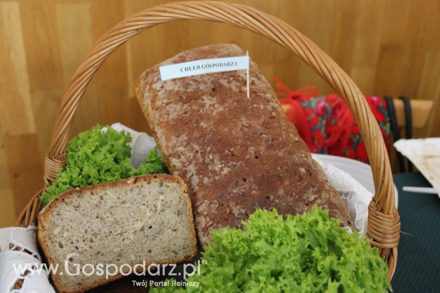 XXII Targi Rolniczo-Ogrodnicze Kościerzyn 2012 - 10