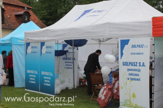 Pierwsze dni indyka w Koźminku