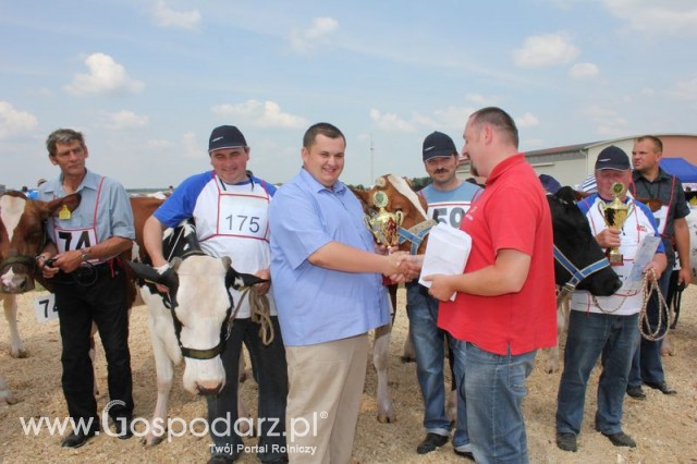 Nagordy dla superchampionów i championów  - 62