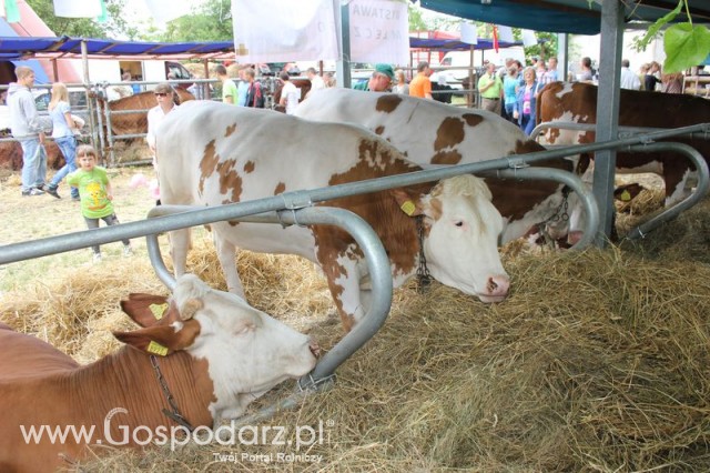 XX Targi Rolnicze Lubniewice