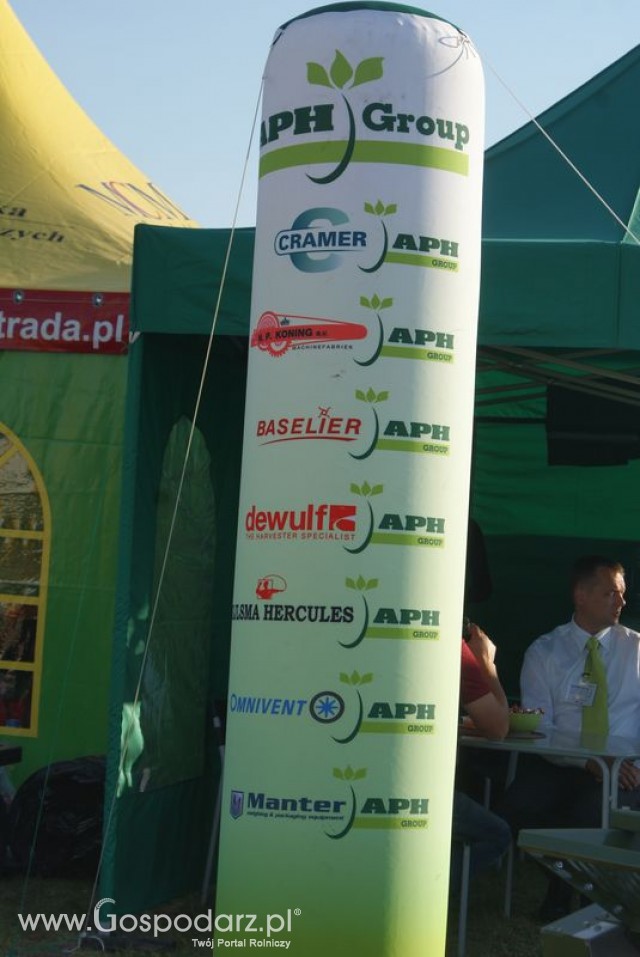 Zdj. - 300 - APH Group