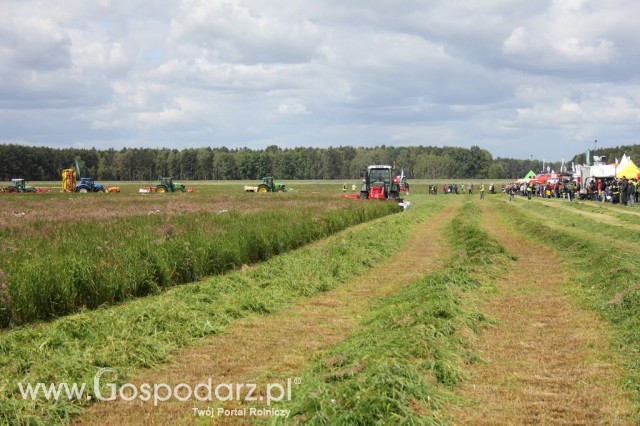 Pokazy Maszyn Polskie Zboża Zielone Agroshow 2012  - 33