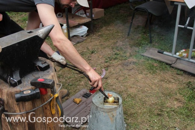 XX Targi Rolnicze Lubniewice