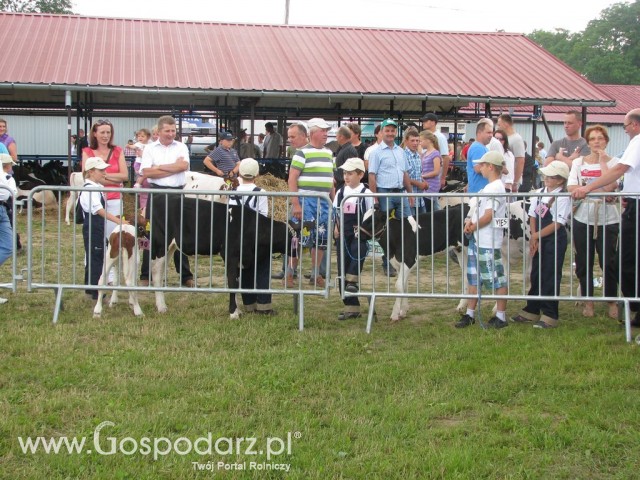 Bydło - Szepietowo 2012 XIX Regionalna Wystawa Zwierząt Hodowlanych - 59