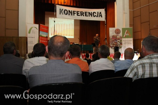 Festiwal Wieprzowiny w Bełżycach/Lublin - 10