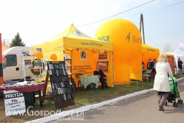 Fotoreportaż z XX Agro-Targów 2011 w Starej Łubiance