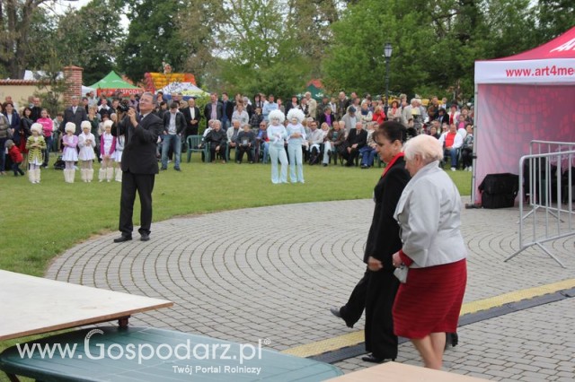Występy artystyczne odbywające się podczas Dni Indyka
