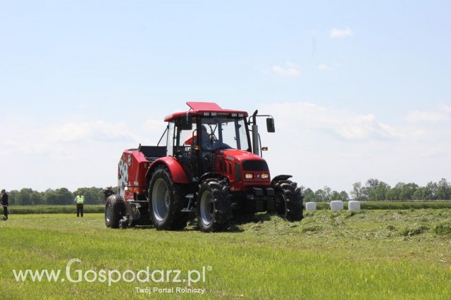 Szepietowo 2012 XIX Regionalna Wystawa Zwierząt Hodowlanych, I Ogólnopolska Wystawa Drobiu oraz Dni z Doradztwem Rolniczym - 44