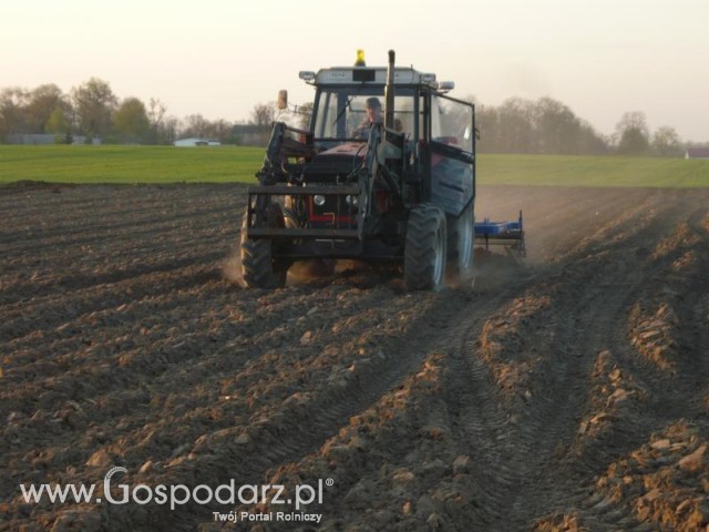 1014 de luxe wiosenne zagarnianie bruzd 
