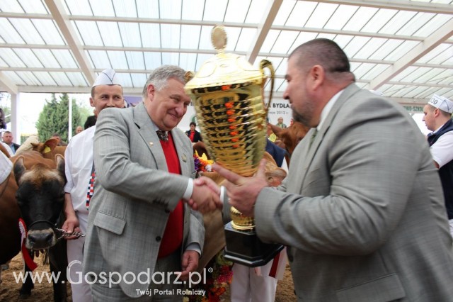 VII Ogólnopolska Wystawa Bydła Hodowlanego - 63