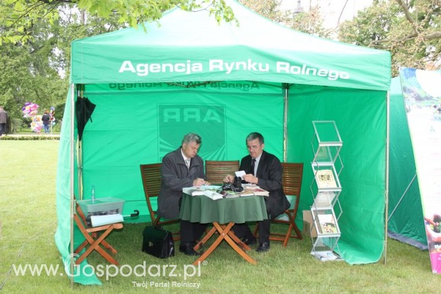 Pierwsze dni indyka w Koźminku