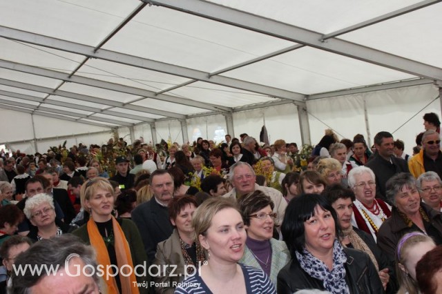 Fotoreportaż z XIV Spotkań Tradycji Wielkanocnych Ziemi Kłodzkiej