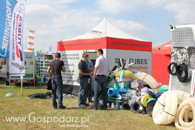 Tubes International - Opolagra 2012 - 2