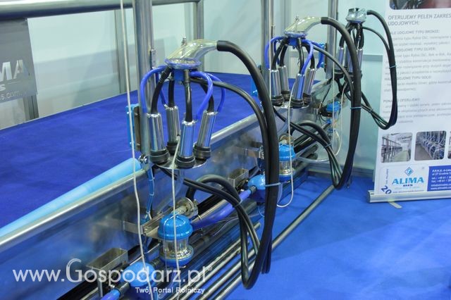 Fotoreportaż  z XI Międzynarodowych Targów Fermy Bydła