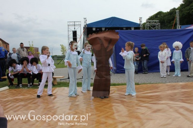 Występy artystyczne odbywające się podczas Dni Indyka