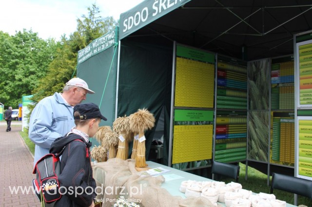 VII Ogólnopolska Wystawa Bydła Hodowlanego - 93