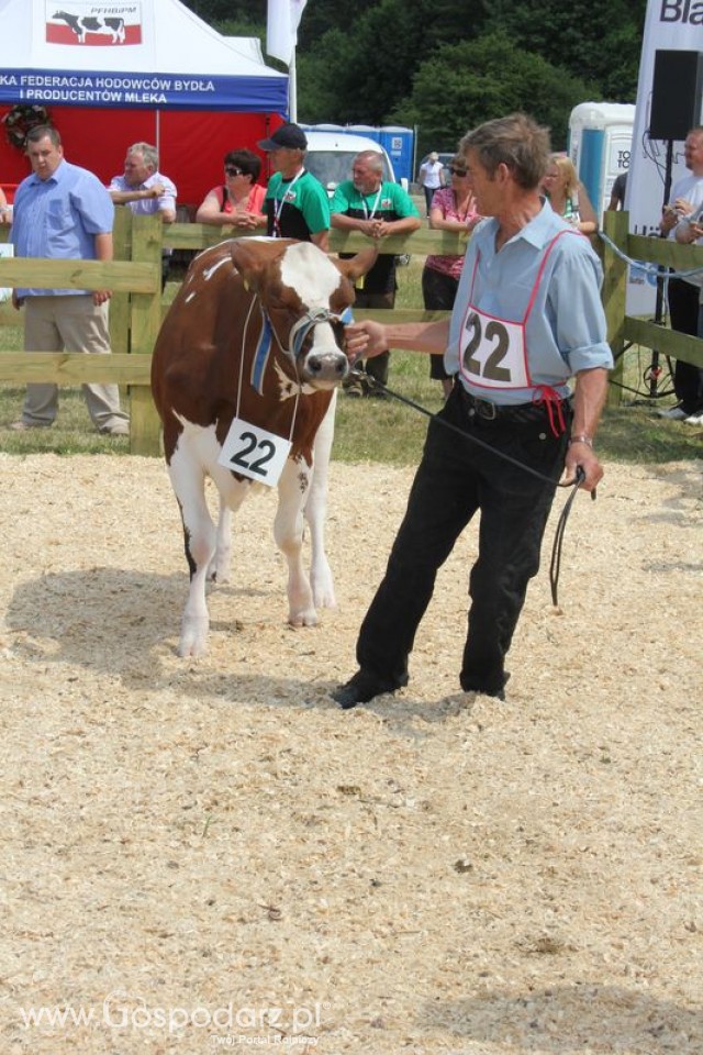 Nagordy dla superchampionów i championów  - 40