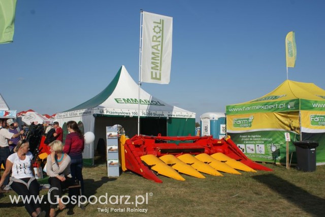 Zdj. - 227 - EMMAROL SP. Z O.O.