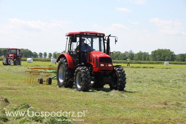 Szepietowo 2012 XIX Regionalna Wystawa Zwierząt Hodowlanych, I Ogólnopolska Wystawa Drobiu oraz Dni z Doradztwem Rolniczym - 42