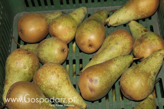 Fotoreportaż z XI Międzynarodowych Targów Fermy Bydła