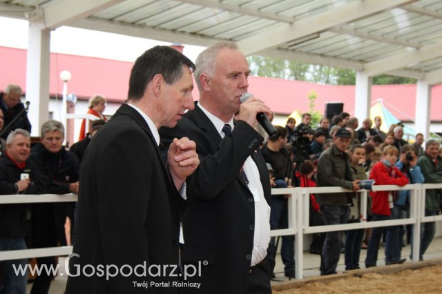 VII Ogólnopolska Wystawa Bydła Hodowlanego - 59