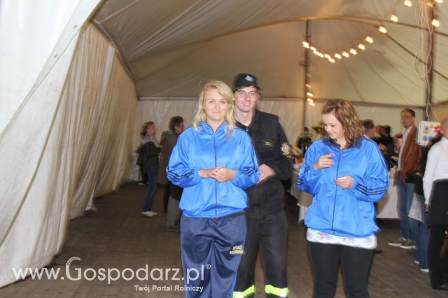 Pierwsze dni indyka w Koźminku