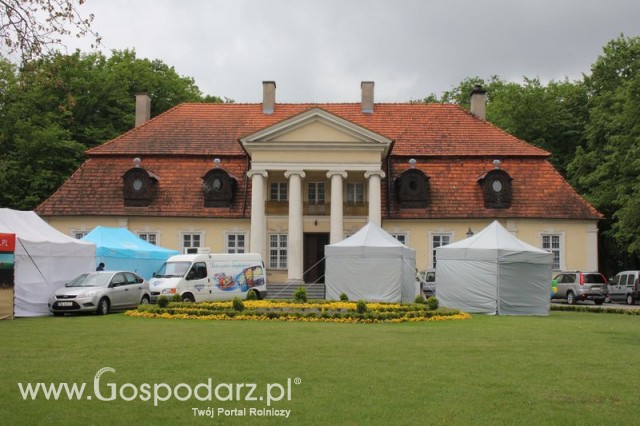 Pierwsze dni indyka w Koźminku