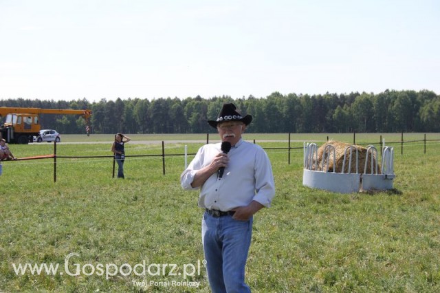 Wypas bydła zdjęcie nr 17