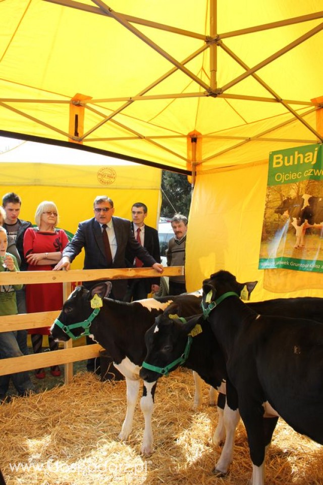 Foto reportaż z Targów Rolno-Ogrodnicze AGROMARSZ Marszew 2011