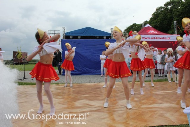 Występy artystyczne odbywające się podczas Dni Indyka