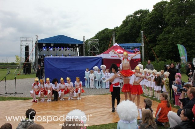 Występy artystyczne odbywające się podczas Dni Indyka