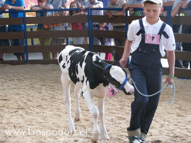 Młody Hodowca - Szepietowo 2012 - 79