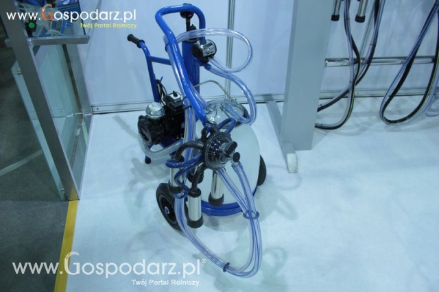 Foto reportaż  z XI Międzynarodowych Targów Fermy Bydła