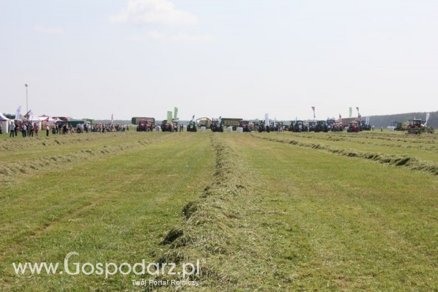 Zielone Agro Show pokaz maszyn rolniczych