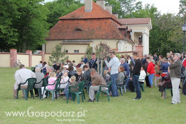 Pierwsze dni indyka w Koźminku