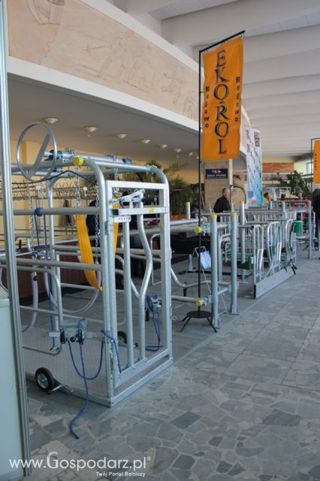 Fotoreportaż  z XI Międzynarodowych Targów Fermy Bydła