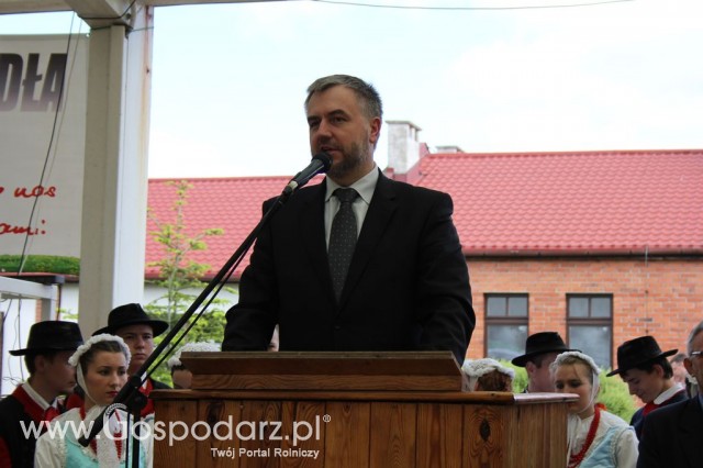 VII Ogólnopolska Wystawa Bydła Hodowlanego - 8