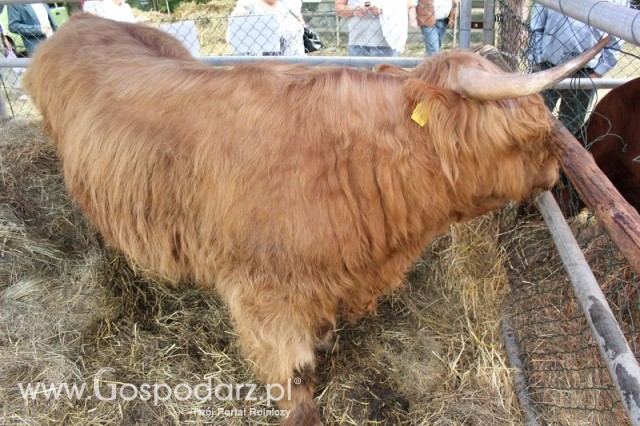 XX Targi Rolnicze Lubniewice