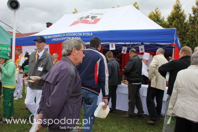 VII Ogólnopolska Wystawa Bydła Hodowlanego - 179