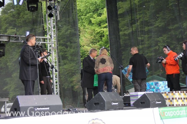 Występy artystyczne odbywające się podczas Dni Indyka