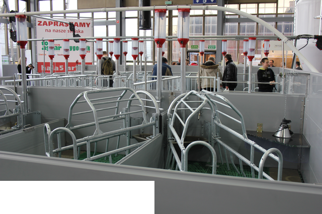Foto reportaż z Międzynarodowych Targów Hodowli Zwierząt FARMA