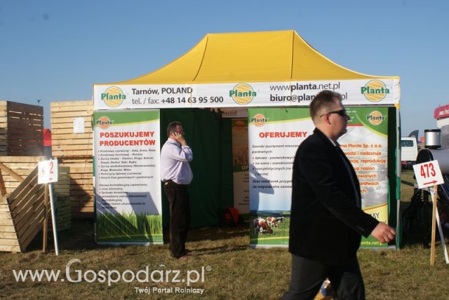 Zdj. - 244 - PLANTA Sp. z o.o.